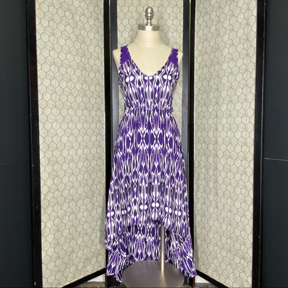 Express Open Back High Low Dress